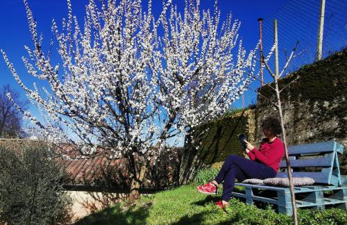 Casa Graziella- appartamenti vacanze - Foto 28