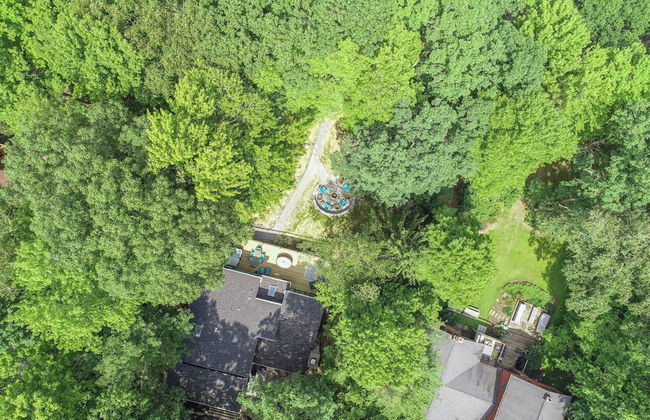 Lucky Penny - Foto 58