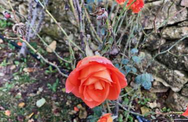 Villino Odaldo - Foto 48