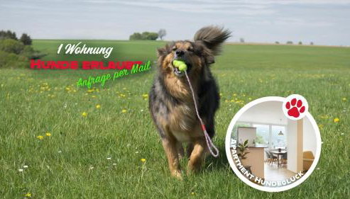 Haus Alleegarten - Foto 4