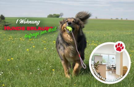 Haus Alleegarten - Foto 10