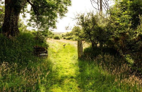 Ta Mill Cottages & Lodges - Olde Granary - Foto 50