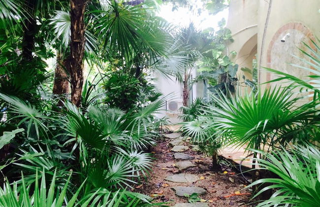 Villas Posada Xaguar by ChezPlaya - Photo 62