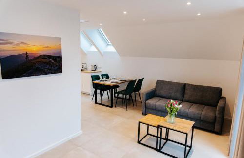 Apart Home Raba Wyżna I Strefa Grilla i Relaksu - Foto 5