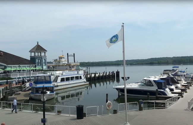 The Gallery Unit 101 - Foto 17