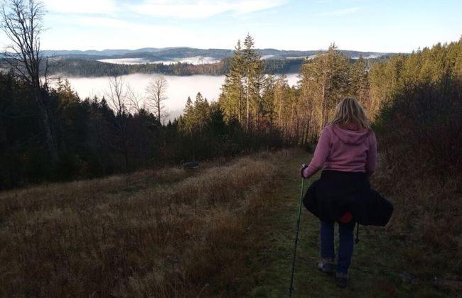 Pine Cones in the Haslehaus - Foto 17