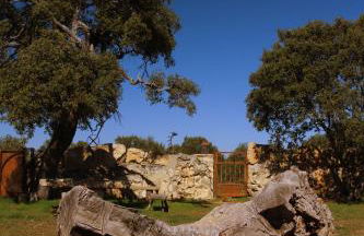 La Casona de Requijada a 6km de Pedraza con Piscina - Foto 37