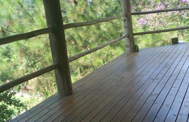 Chácara das Araucárias - Foto 41