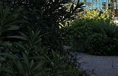 GARDEN LEFKANTI sea rooms & aparts - Foto 7