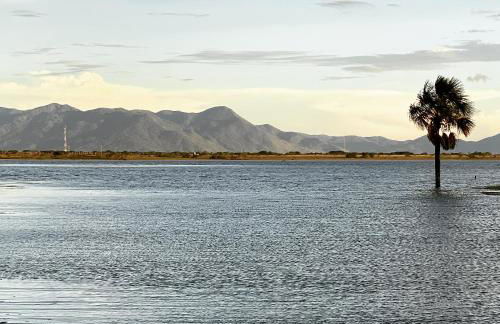 Fazenda Buritizal Grosso - Photo 11