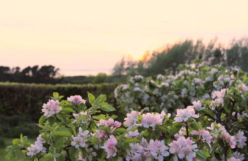 STUNNING LODGE MINUTES FROM THE SEA AND GOLF COURSE - Foto 20