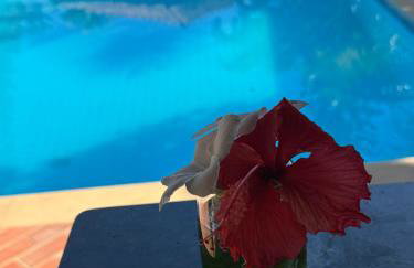 Bangalô 6 praia de Guaratiba prado BA - Photo 11