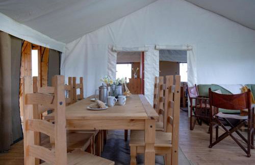 Linnet - Sweffling Hall - Foto 8