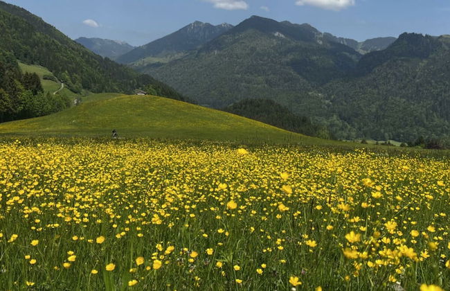 Fantastic Apartment in Schleching - Photo 10