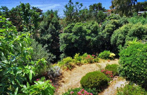 Villa du paradis - Foto 14