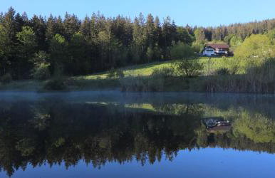 Ferienwohnungen Ludwigsthal - Foto 27