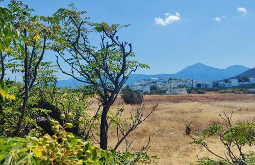 Secluded 200-Year-Old Cycladic Retreat in Milos - Foto 4