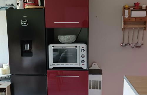 Appartement 3 étoiles - 1 chambre Les Becs - Foto 31