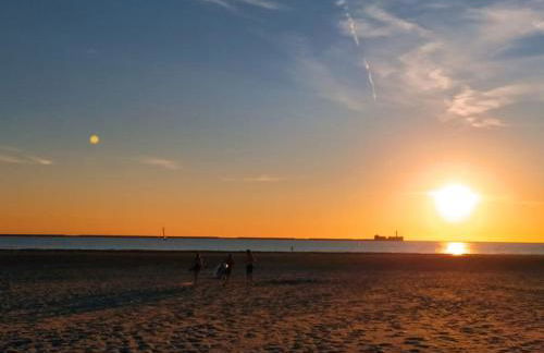Face Nausicaa et plage vue panoramique - Foto 4