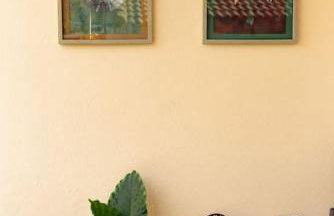 Nas Mar & Twins - Aristea - Foto 32