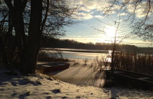 Nachtigall - Foto 32