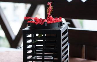 Dione Apartments - Foto 30