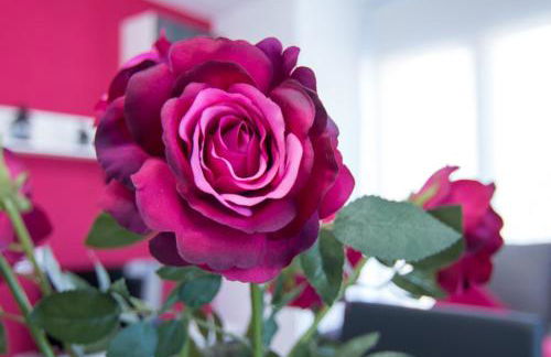 Apartament Bagà - Foto 26