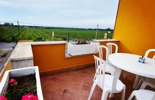 Roxy Bellavista - Foto 20