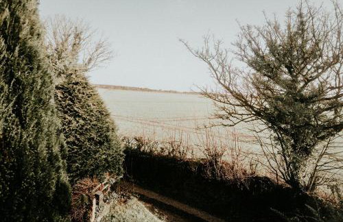 Higher Trewithen - Photo 22