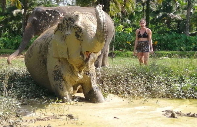 Escursione al santuario degli elefanti di Ao Nang - Foto 7
