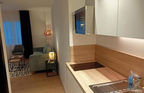 Abba Apartments Playa De Gros San Sebastian - Foto 72