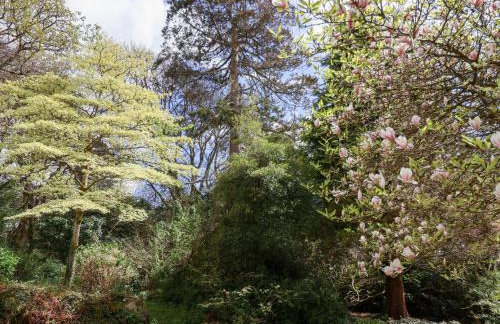 Dunridge Cottage - Foto 31