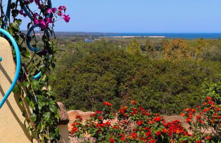 Country villa Sant' Elène - Appartamento Olivo - Foto 13