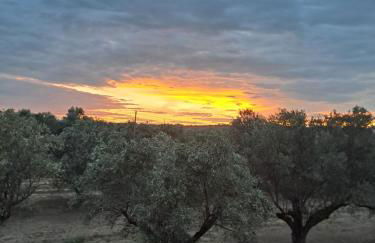 Casa torelli verde - Foto 24