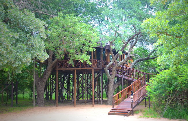 Pezulu Tree House Lodge - Foto 35