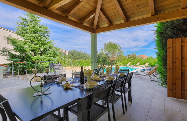 Salamander - Foto 27