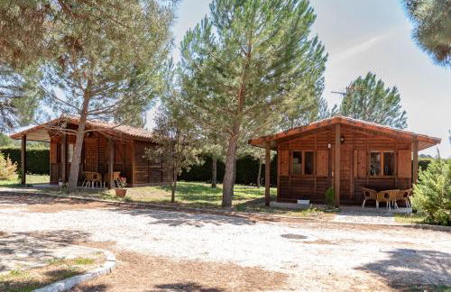 Las Casitas del Pinar - Foto 18