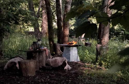Off-grid Cork Cabin With It's Own Island - Foto 32