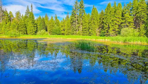 Water's Edge Retreat - Foto 3