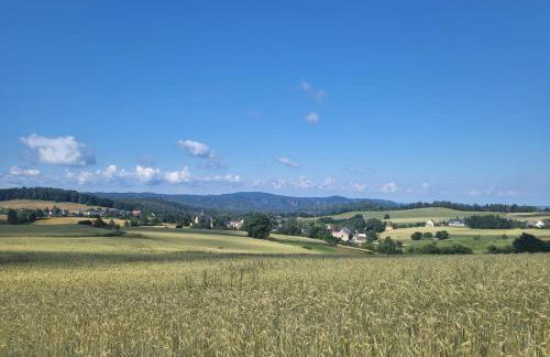 Kastanienhof - Photo 19