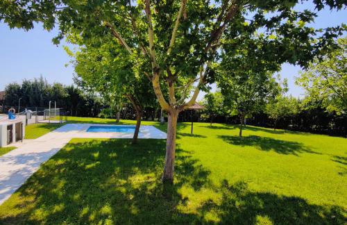 Hamlet's Friends - Foto 125