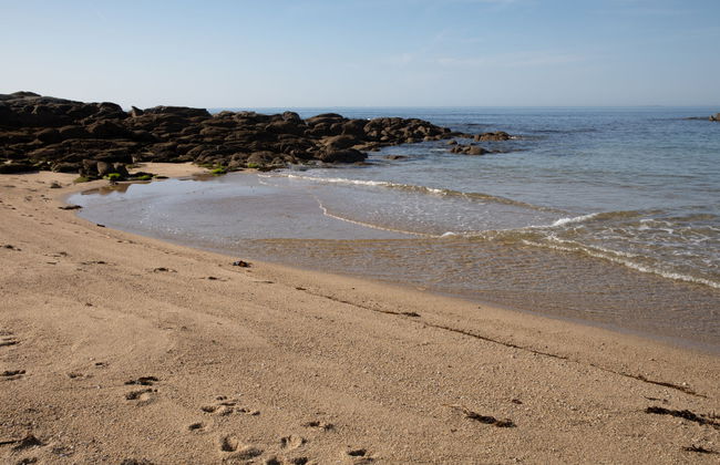 Ty Pendruc - Foto 22