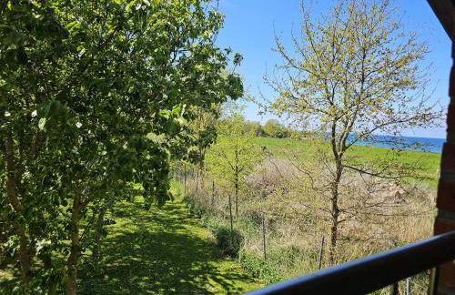 Hof am Meer "Seestern" - Foto 19