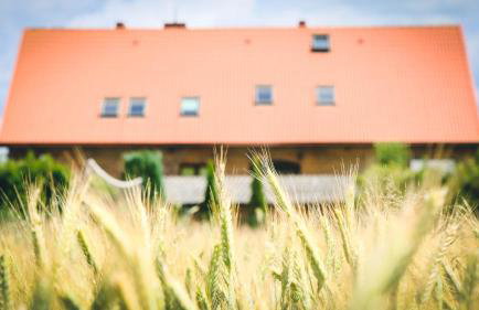 Chata na końcu świata - Foto 16