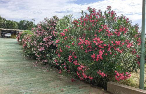 Lovely Beach House - Photo 13