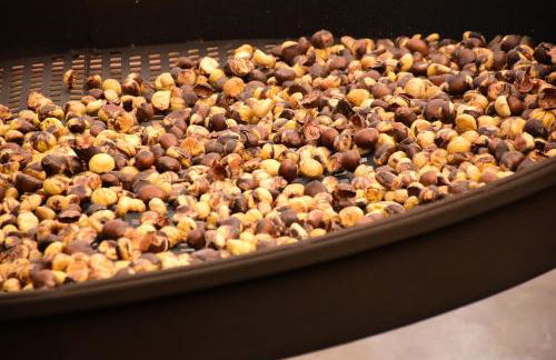 Il Pianerottolo - Foto 50