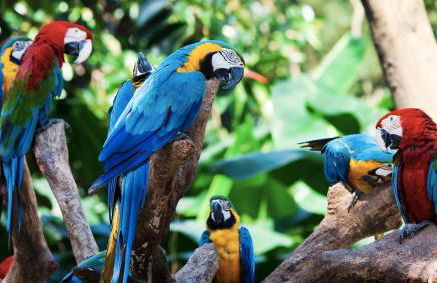 La Favorita - Foto 23