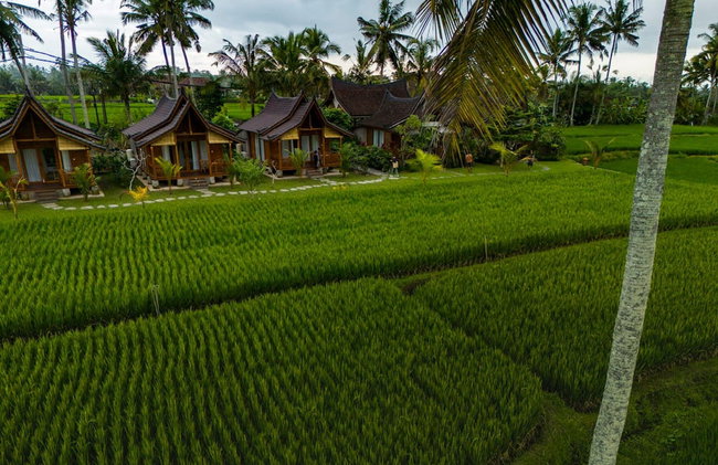 Mathura Ubud - Foto 32