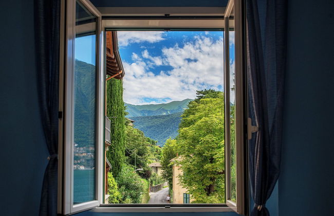 Lemon Tree - Photo 14