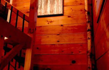 The Birches Cabin, at home in the woods! - Foto 8